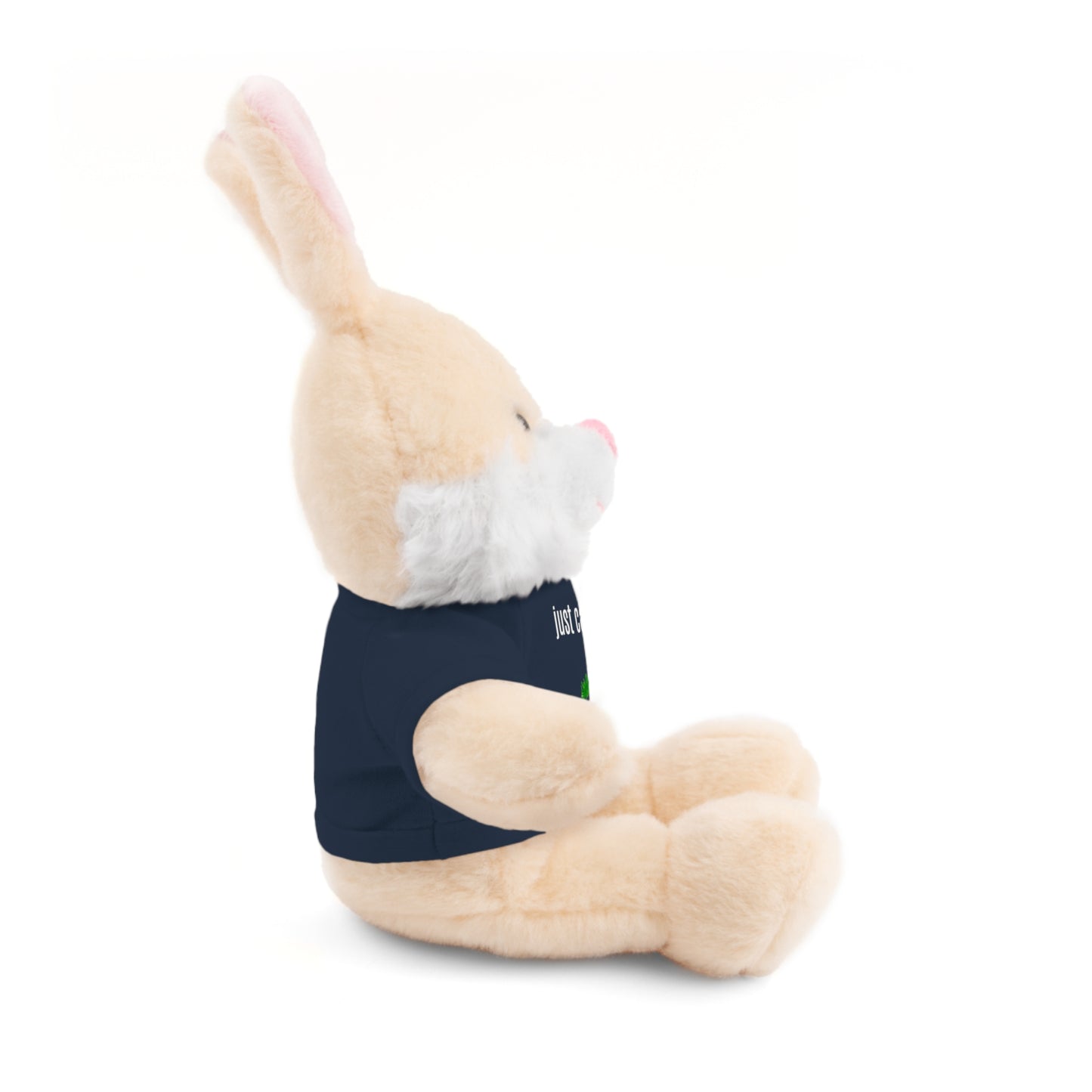 Just Carrot On Stuffed Bunny Rabbit