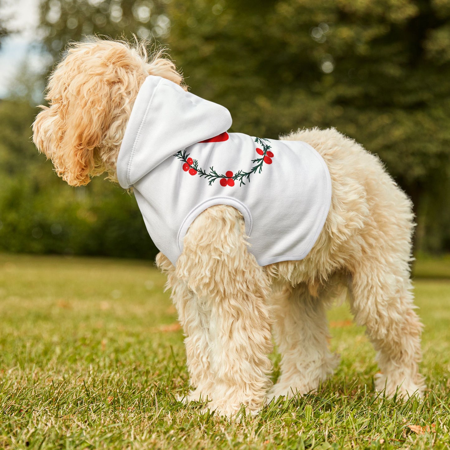 Customizable Armenian Letter Wreath White Pet Hoodie