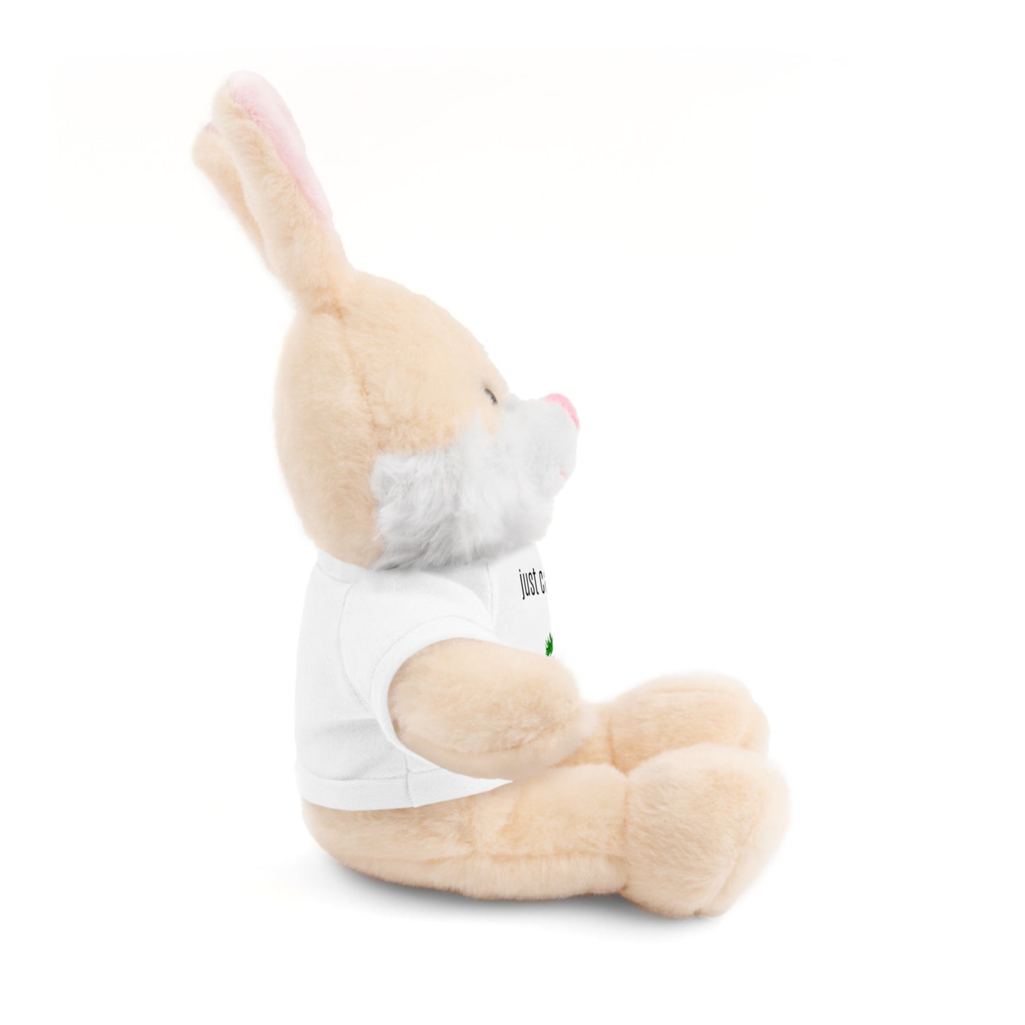 Just Carrot On Stuffed Bunny Rabbit