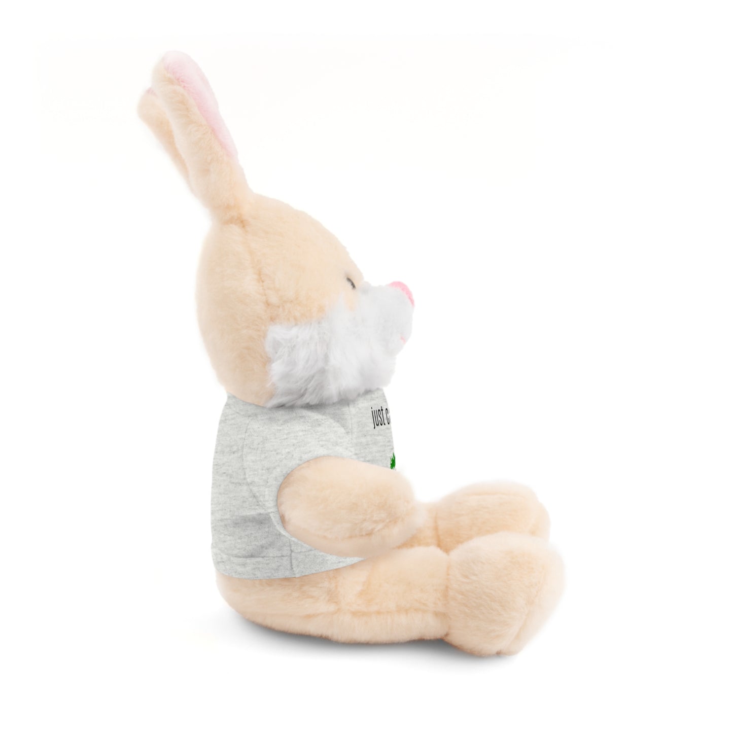 Just Carrot On Stuffed Bunny Rabbit