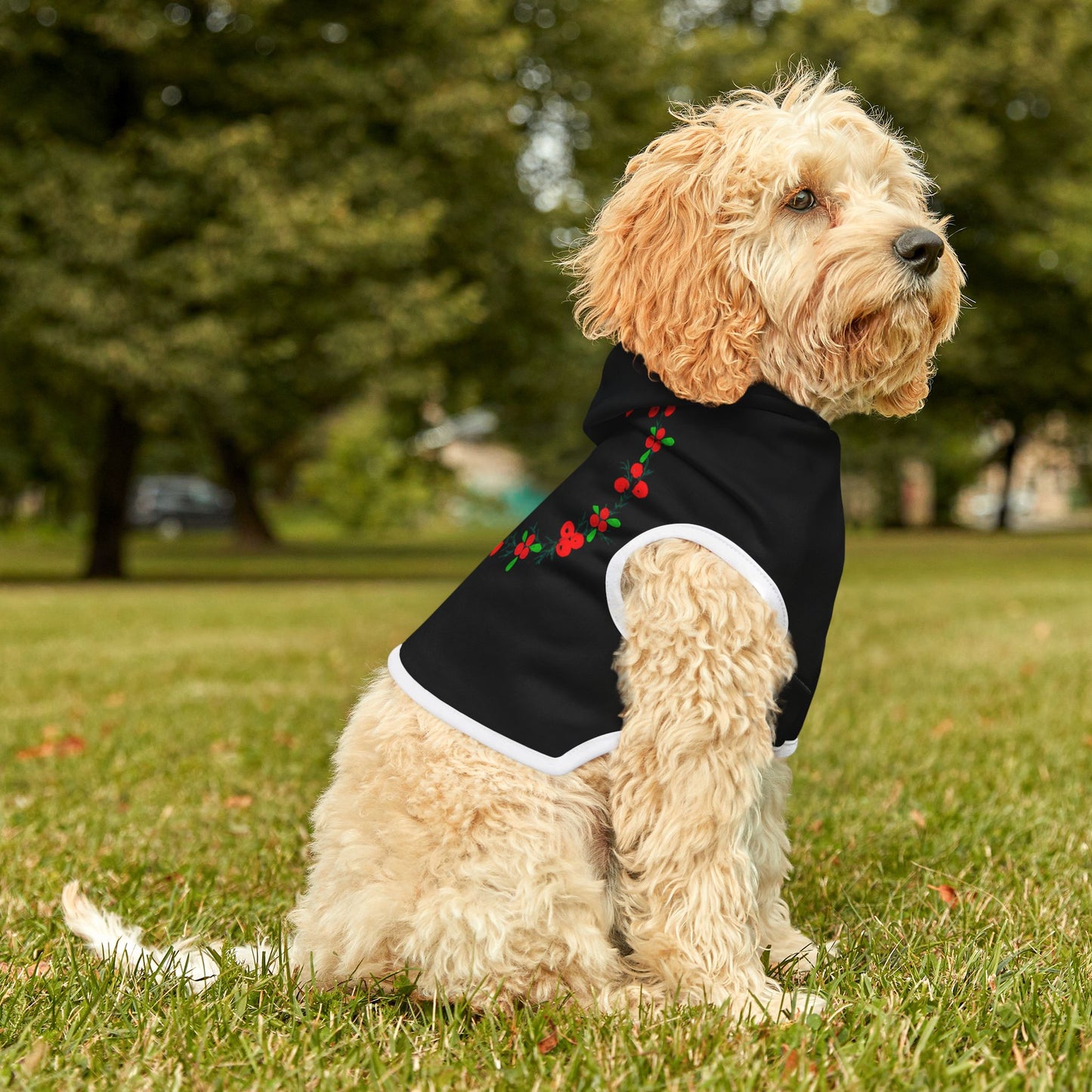 Customizable Armenian Letter Wreath Black Pet Hoodie