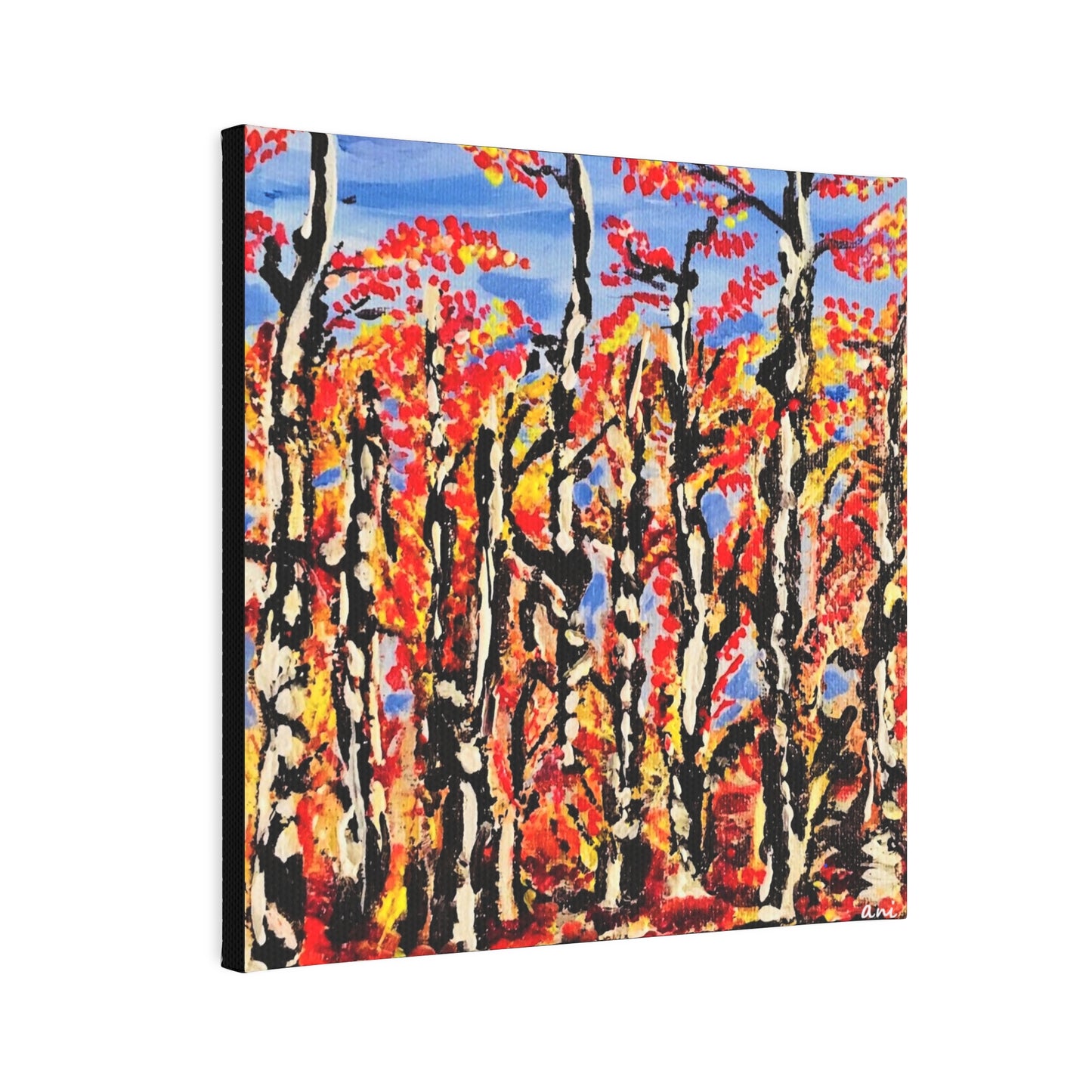 Birch Trees Canvas Print