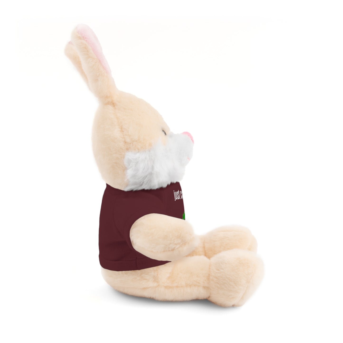 Just Carrot On Stuffed Bunny Rabbit