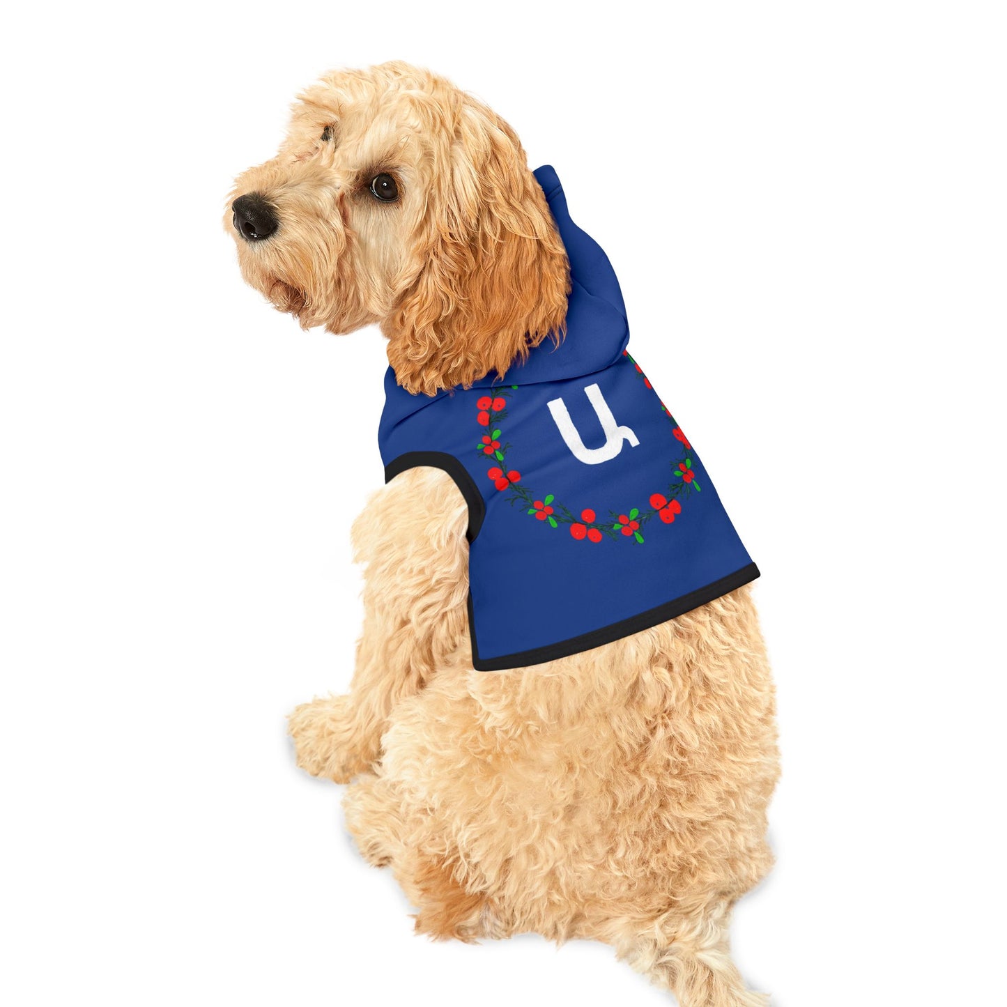 Customizable Armenian Letter Wreath Dark Blue Pet Hoodie