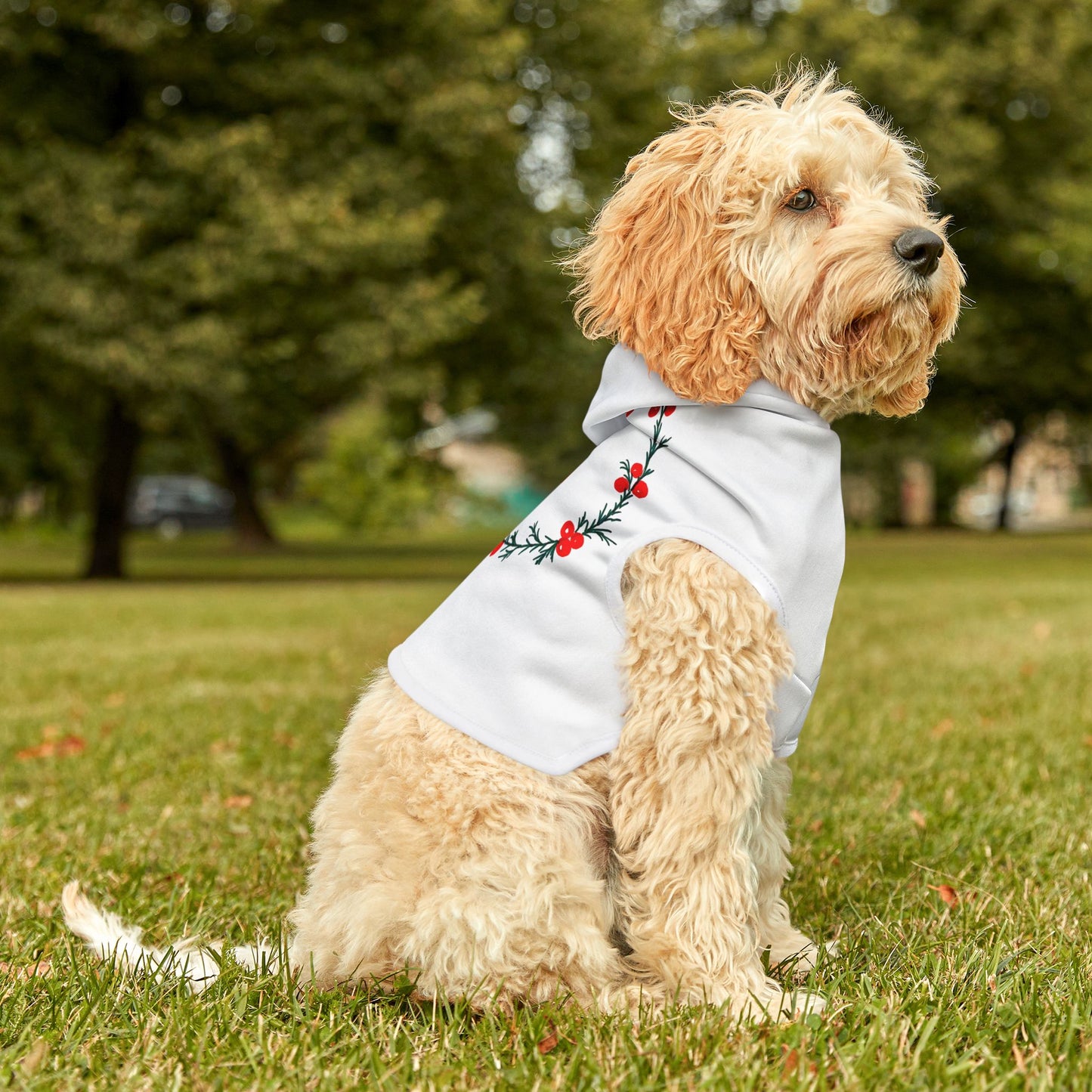 Customizable Armenian Letter Wreath White Pet Hoodie