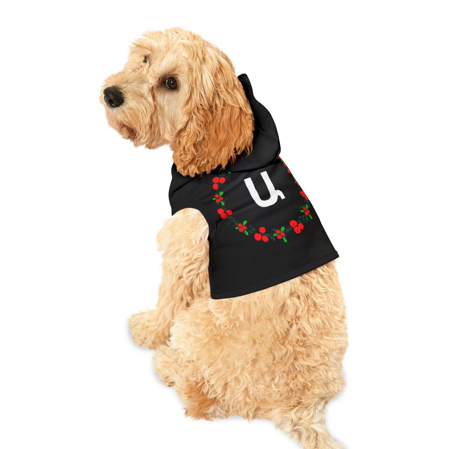 Customizable Armenian Letter Wreath Black Pet Hoodie