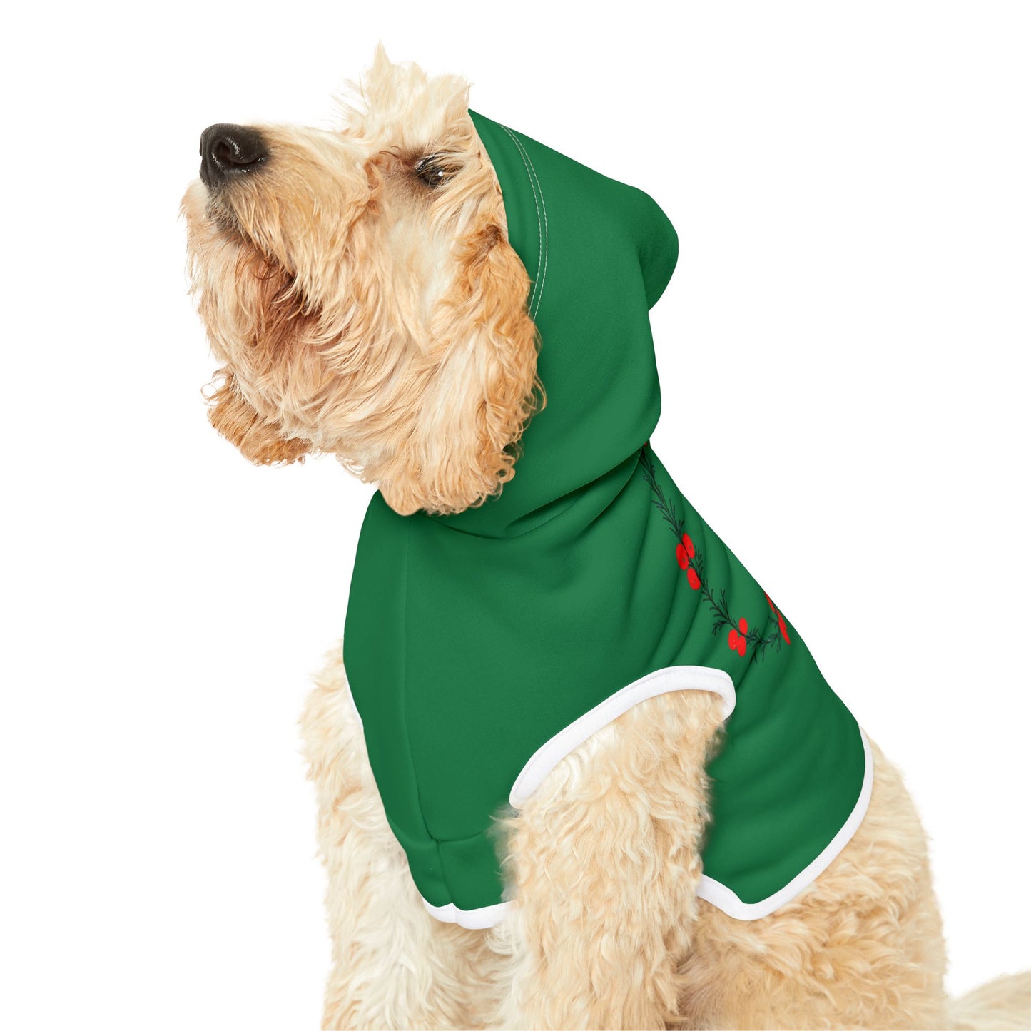 Customizable Armenian Letter Wreath Green Pet Hoodie