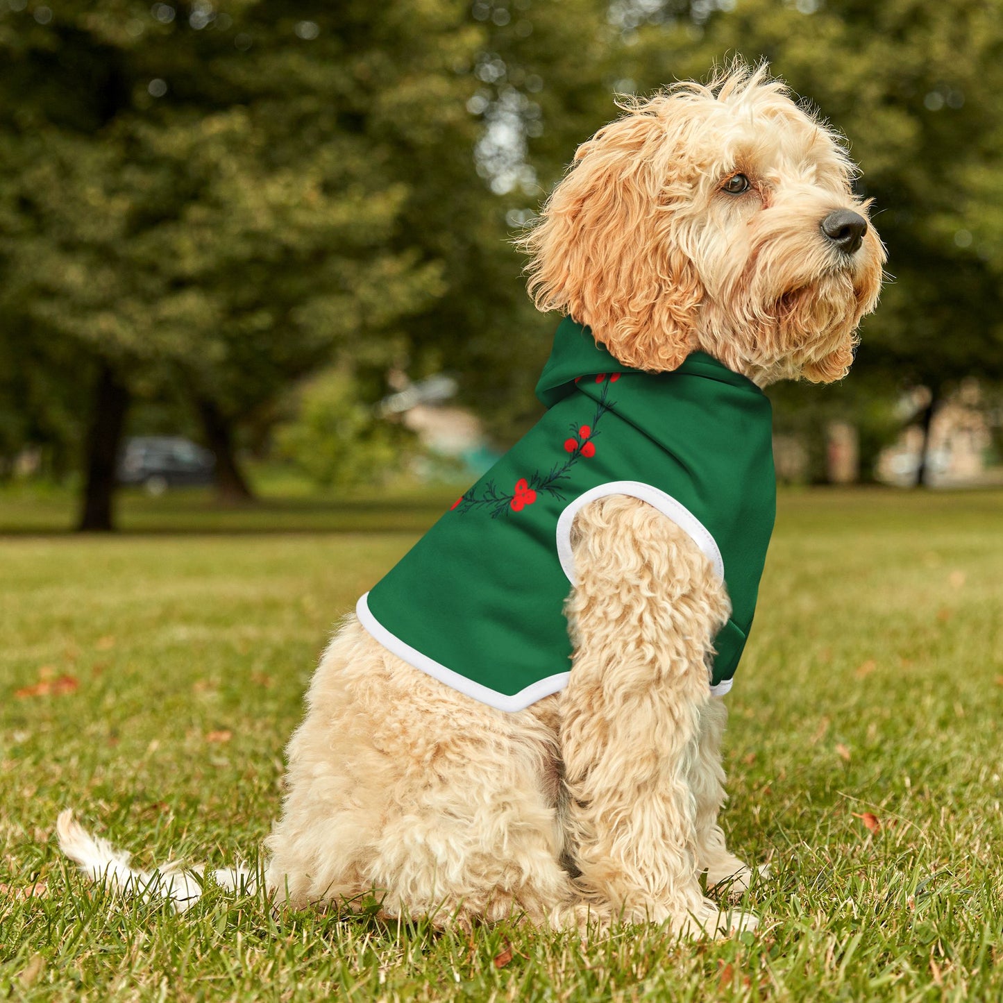 Customizable Armenian Letter Wreath Green Pet Hoodie