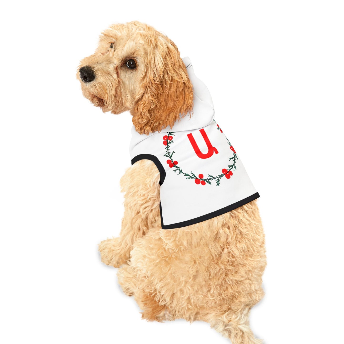 Customizable Armenian Letter Wreath White Pet Hoodie