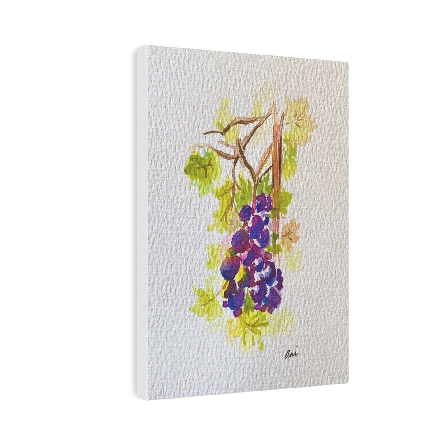 Grapevine Canvas Print