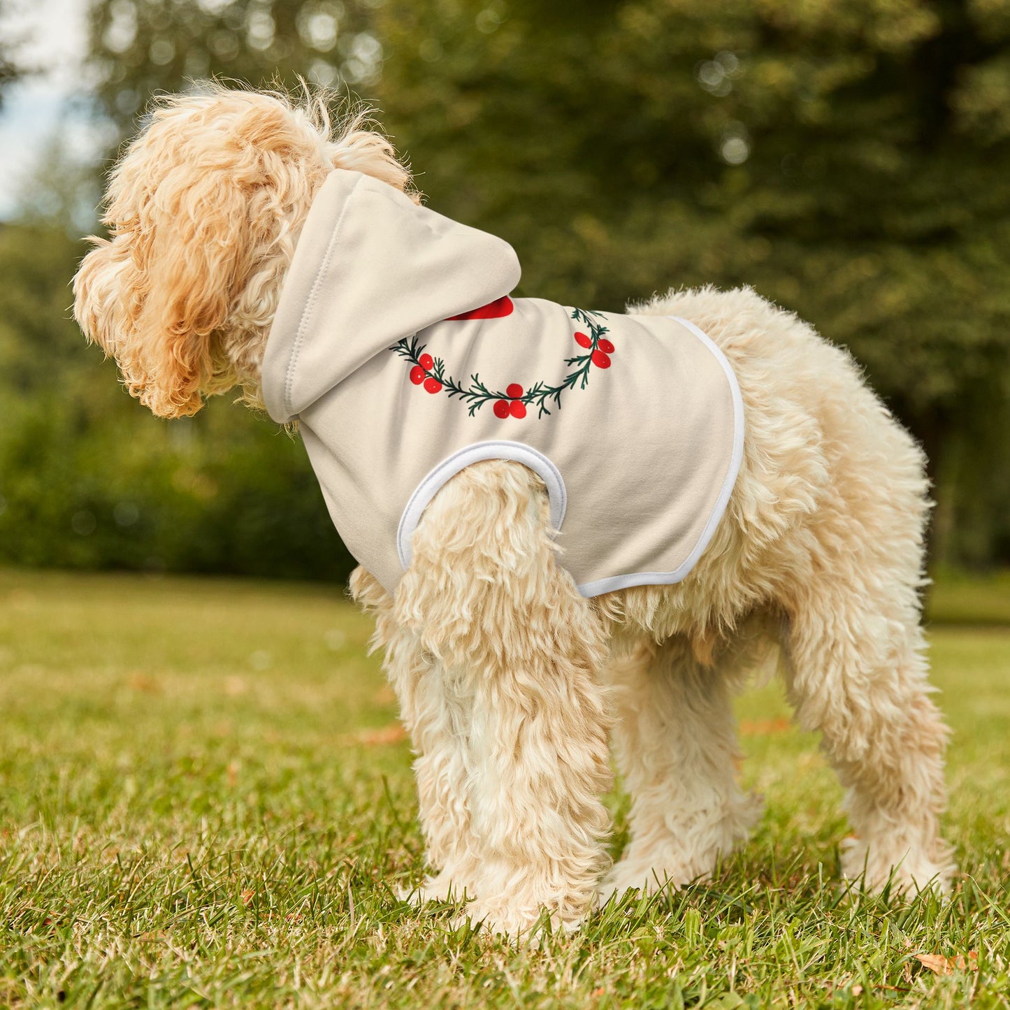 Customizable Armenian Letter Wreath Cream Pet Hoodie