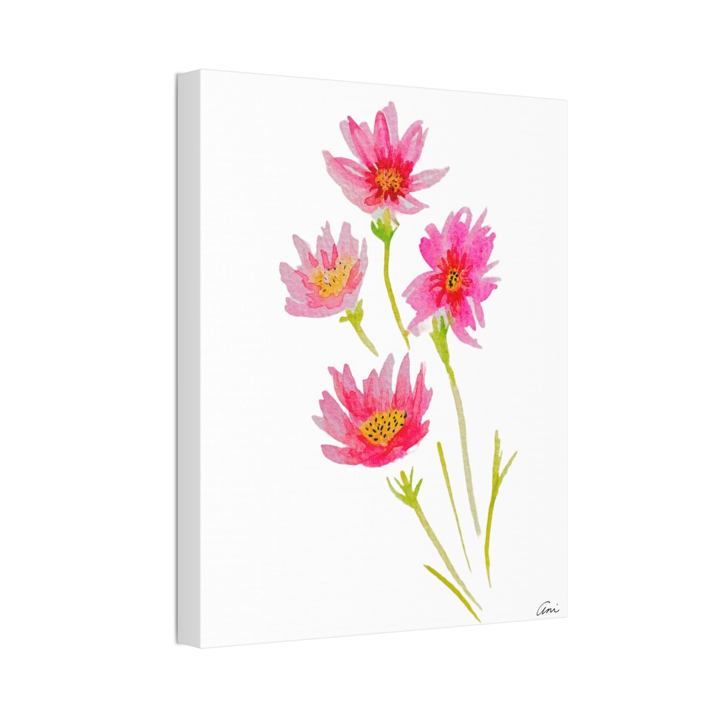 Cosmos Canvas Print