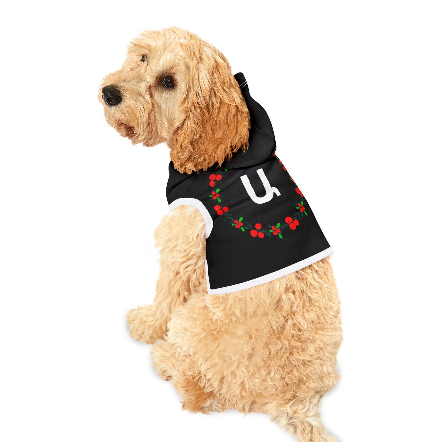 Customizable Armenian Letter Wreath Black Pet Hoodie