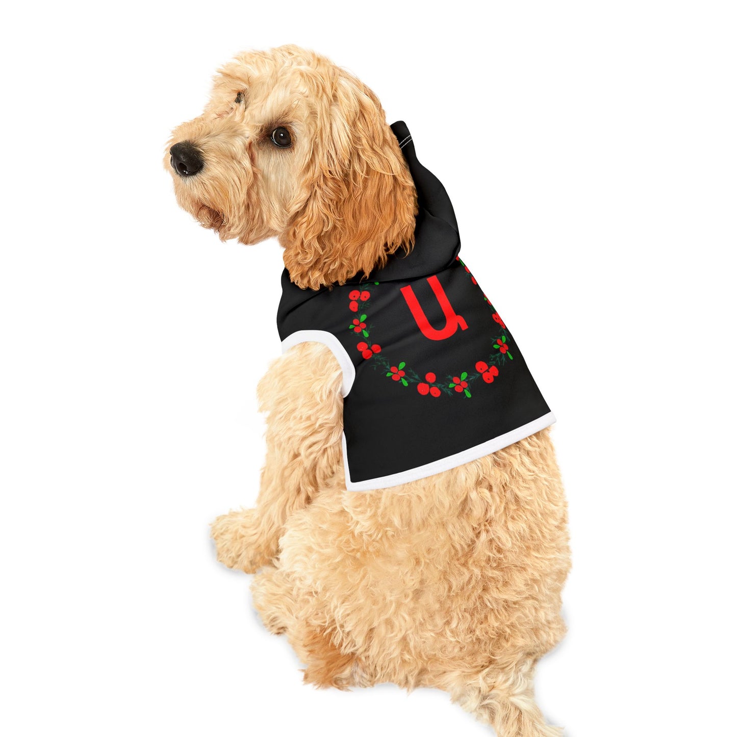 Customizable Armenian Letter Wreath Black Pet Hoodie