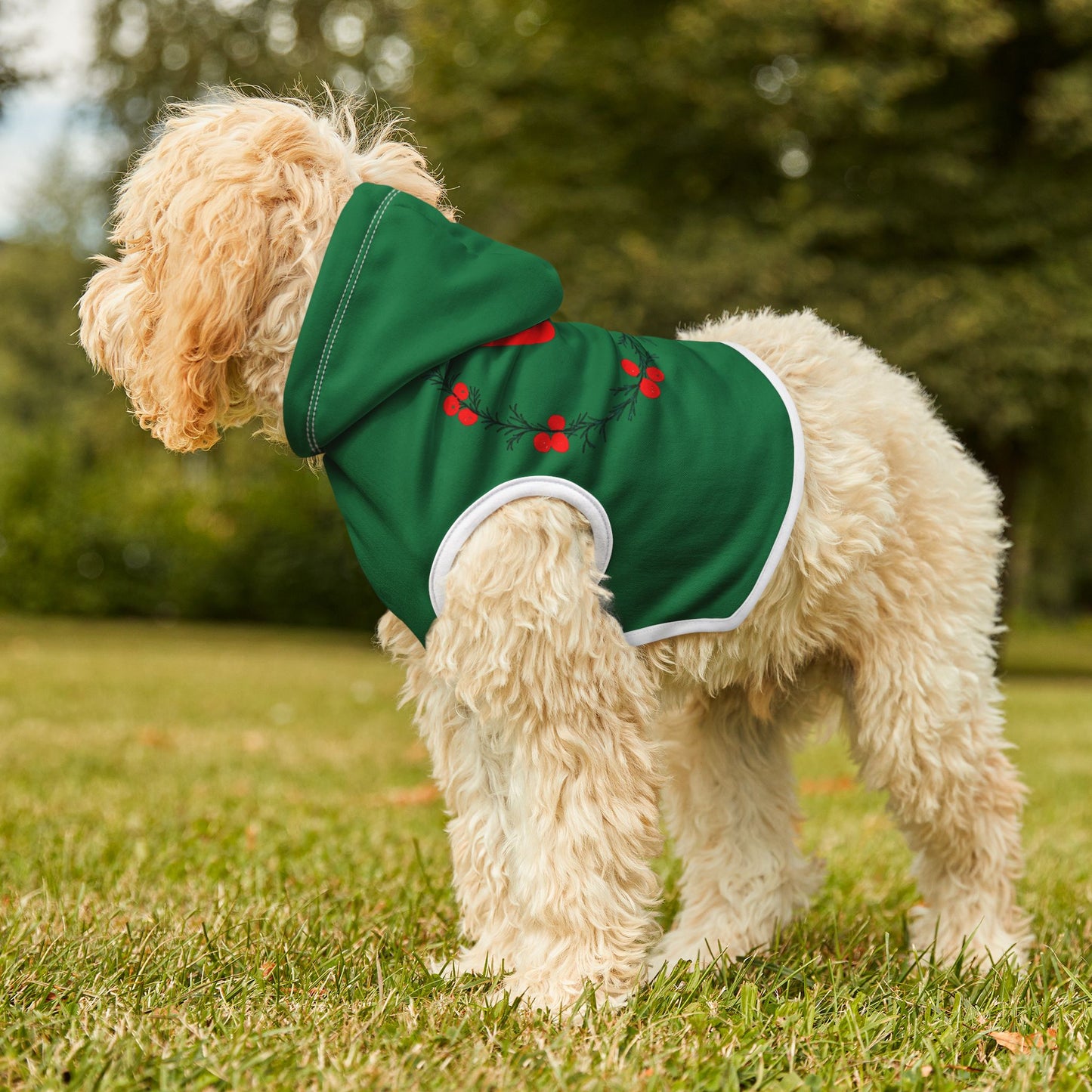 Customizable Armenian Letter Wreath Green Pet Hoodie