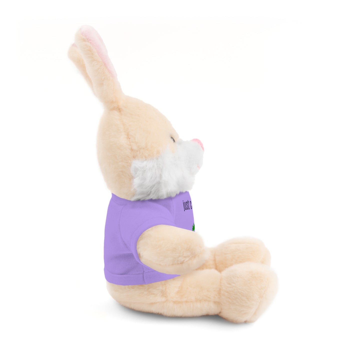 Just Carrot On Stuffed Bunny Rabbit