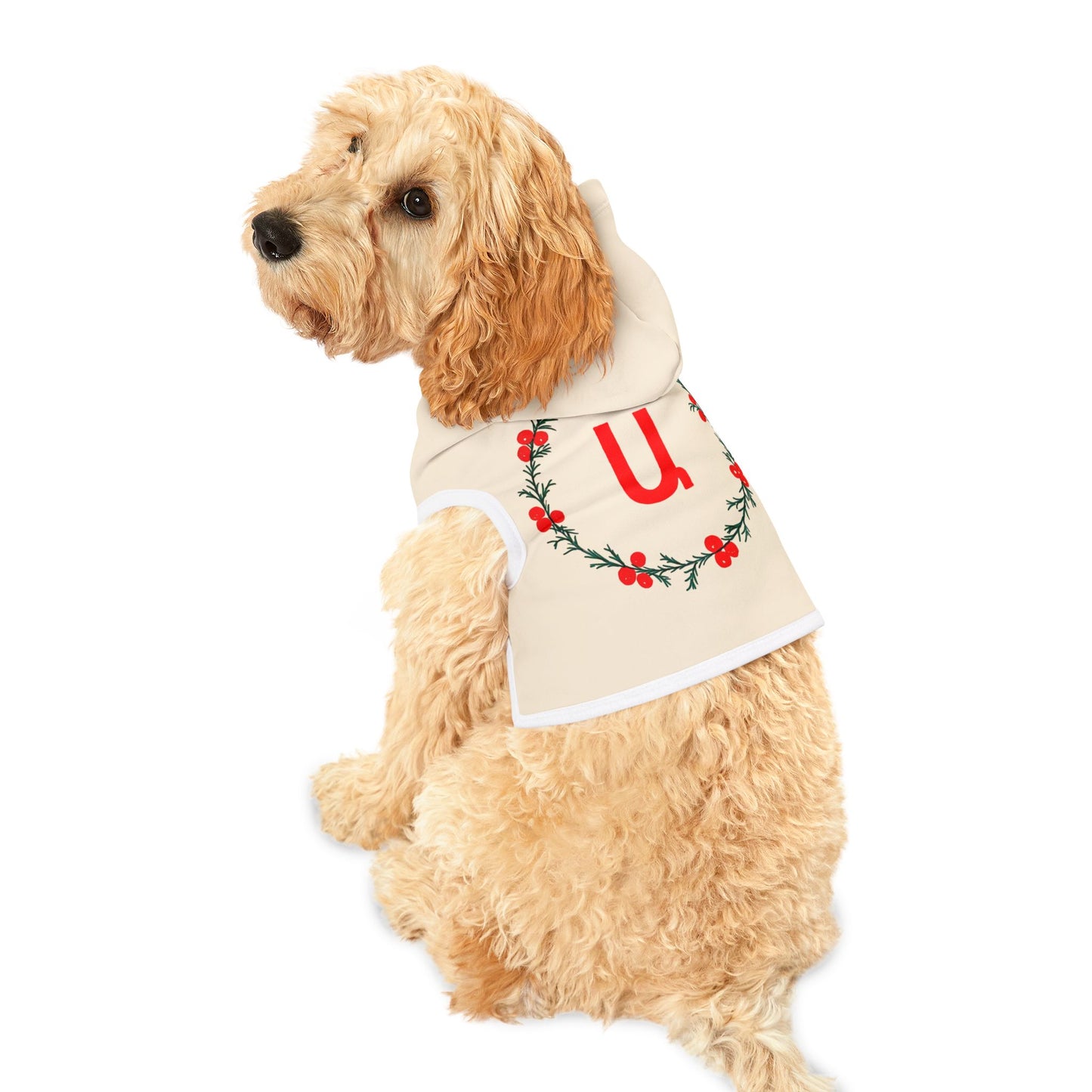 Customizable Armenian Letter Wreath Cream Pet Hoodie