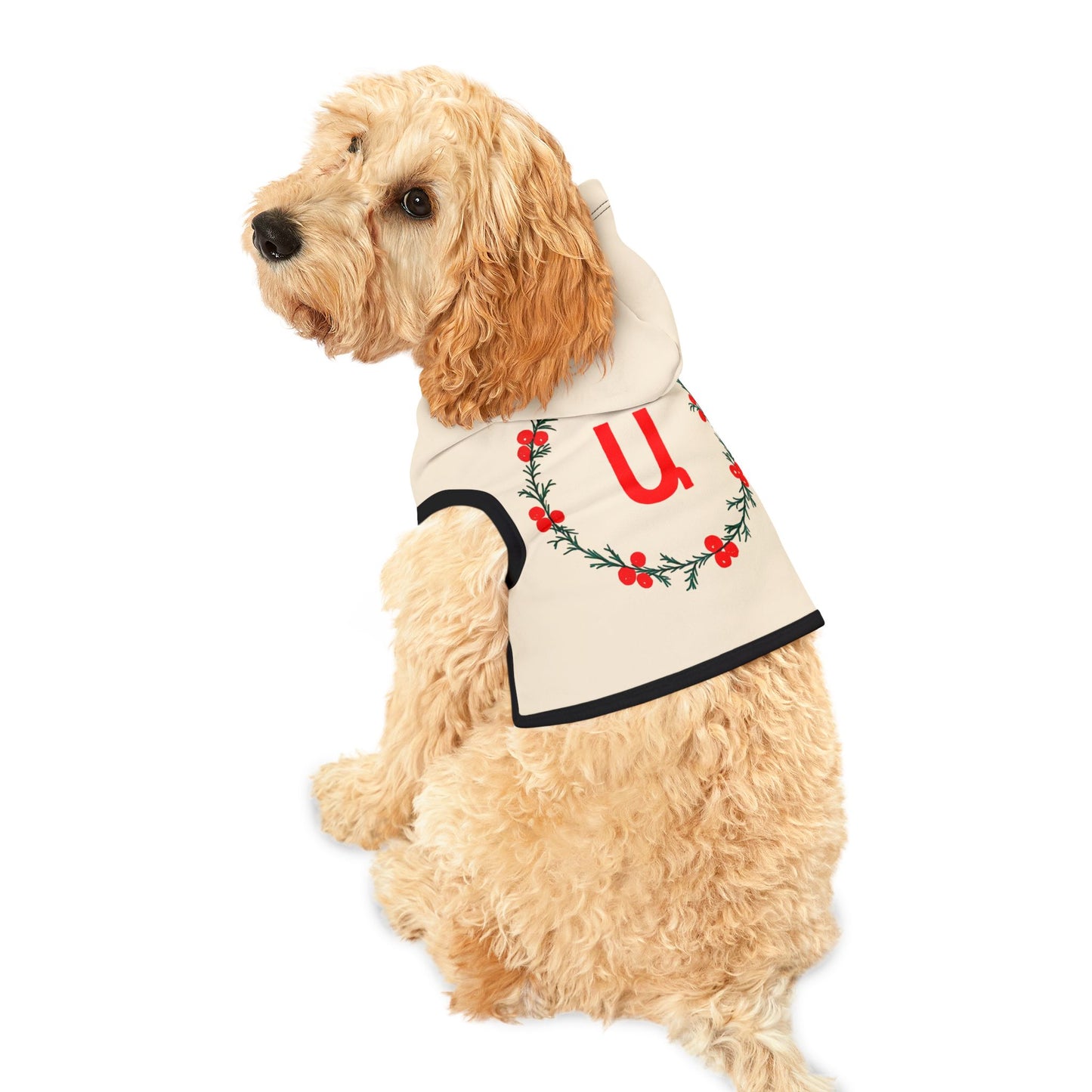 Customizable Armenian Letter Wreath Cream Pet Hoodie