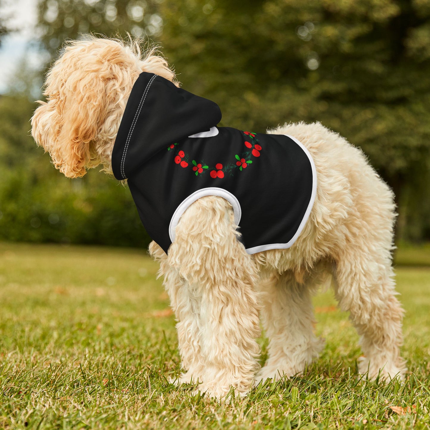 Customizable Armenian Letter Wreath Black Pet Hoodie