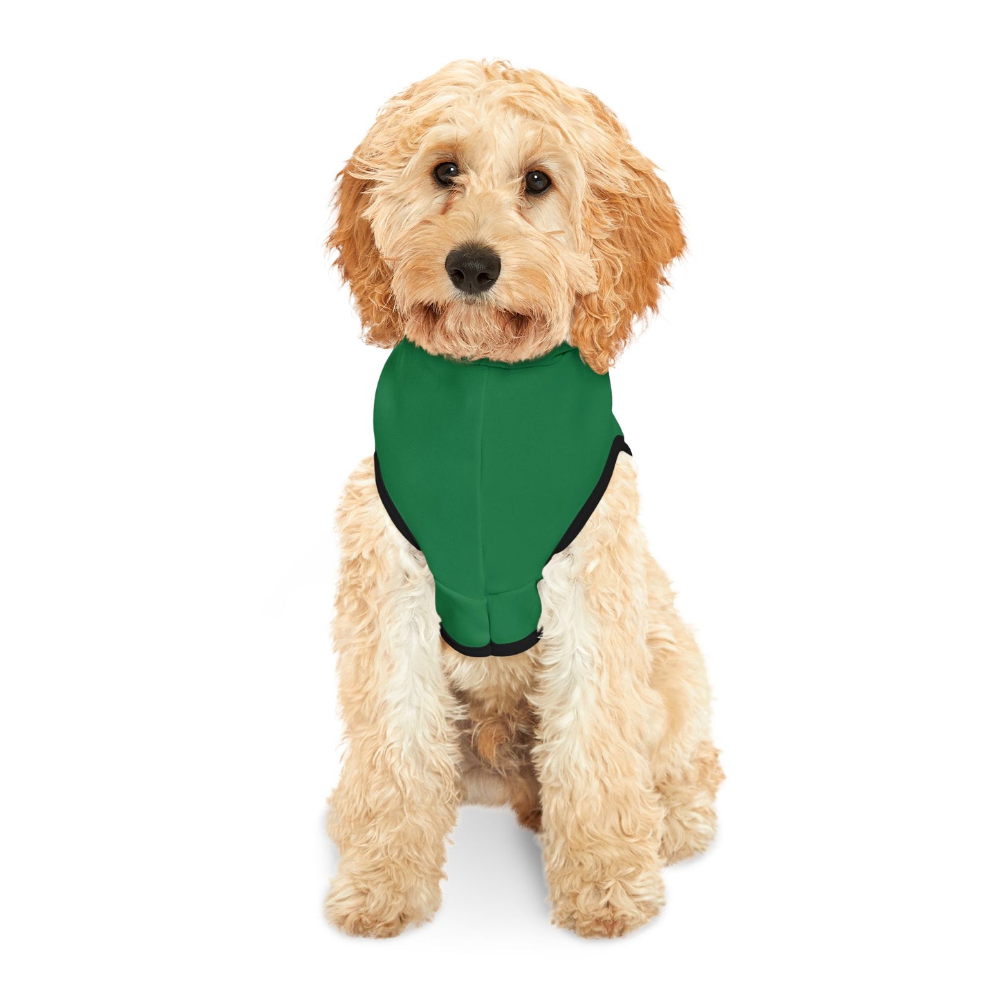 Customizable Armenian Letter Wreath Green Pet Hoodie