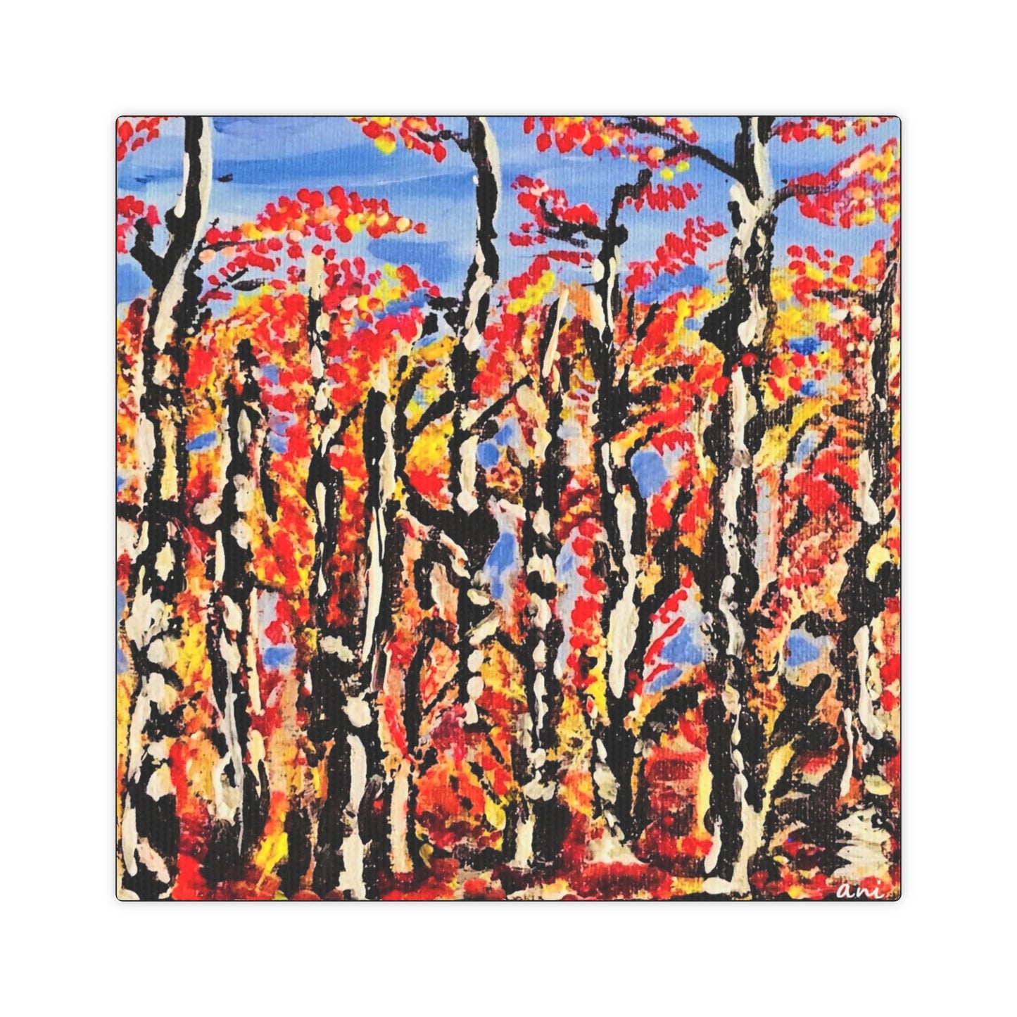 Birch Trees Canvas Print