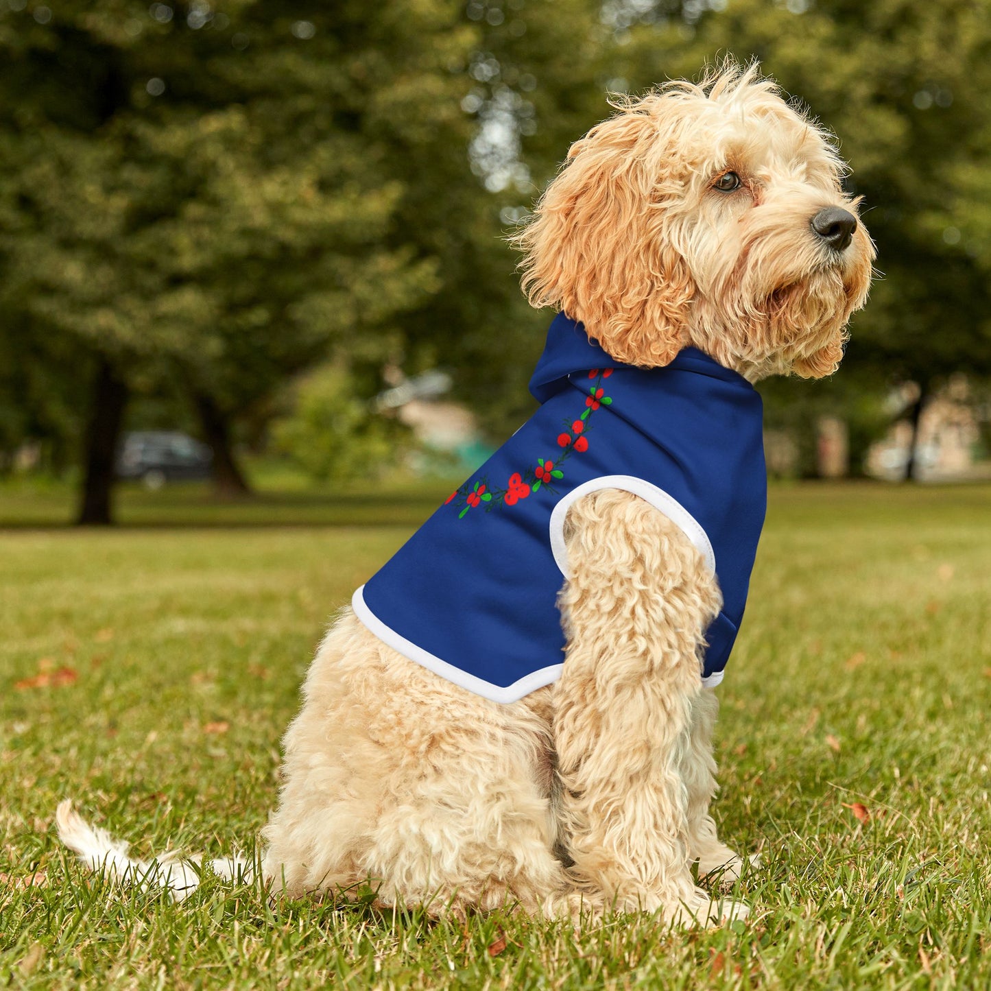 Customizable Armenian Letter Wreath Dark Blue Pet Hoodie