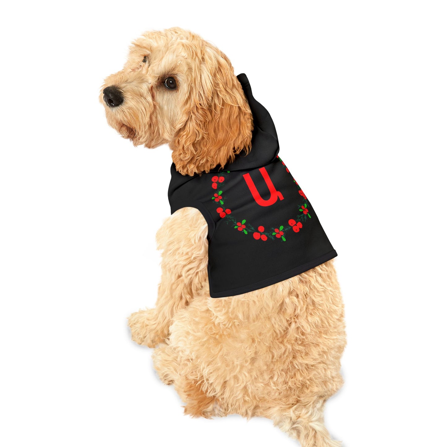 Customizable Armenian Letter Wreath Black Pet Hoodie