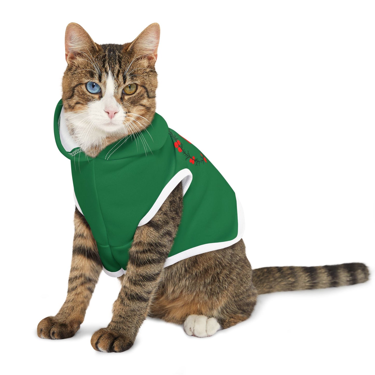 Customizable Armenian Letter Wreath Green Pet Hoodie