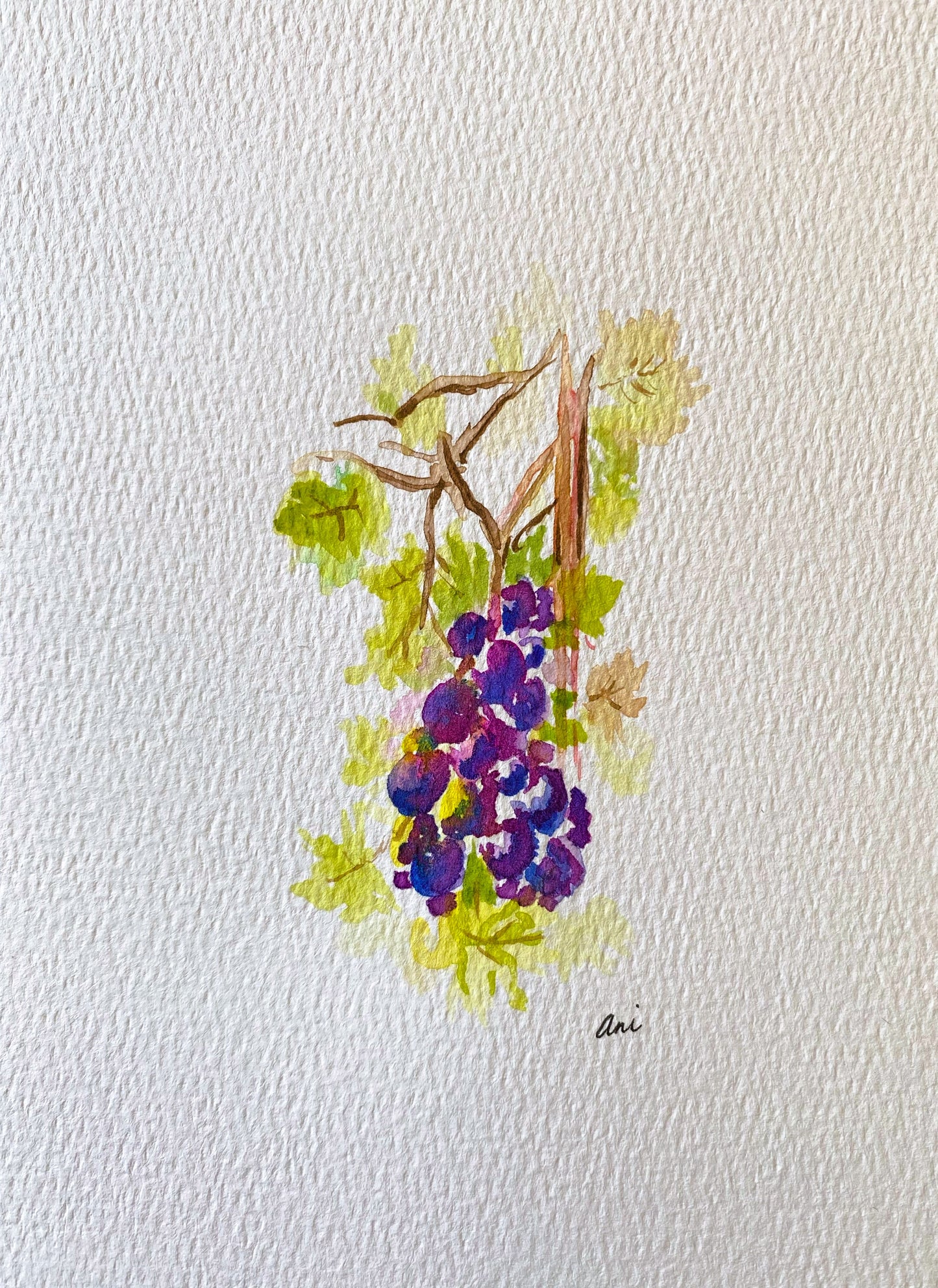 Grapevine Original Watercolor