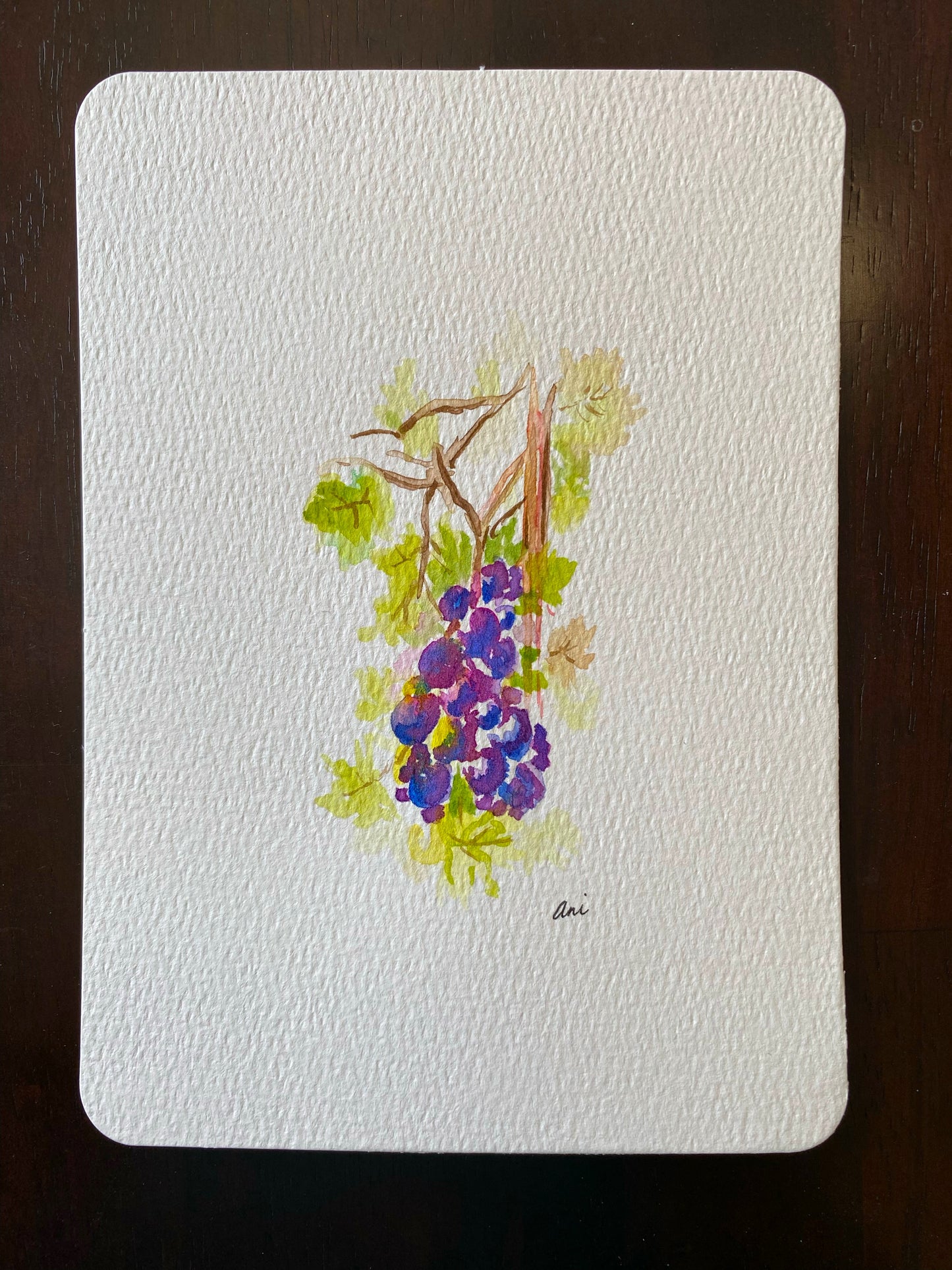 Grapevine Original Watercolor