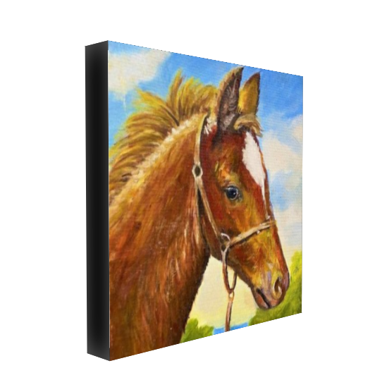 Horse Canvas Print